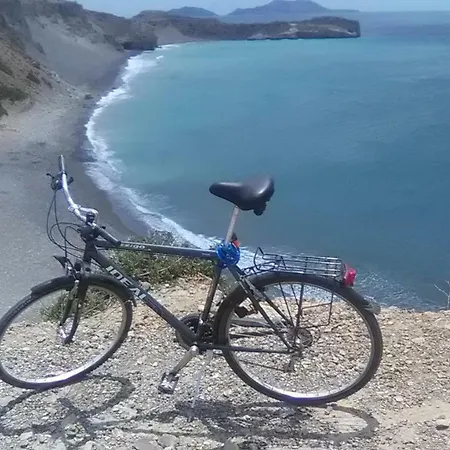 Traditional Art House *