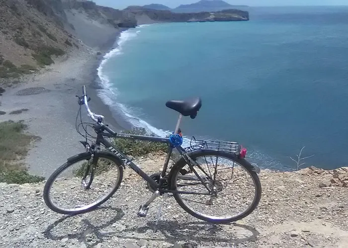 Traditional Art House *